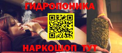 скорость Обь