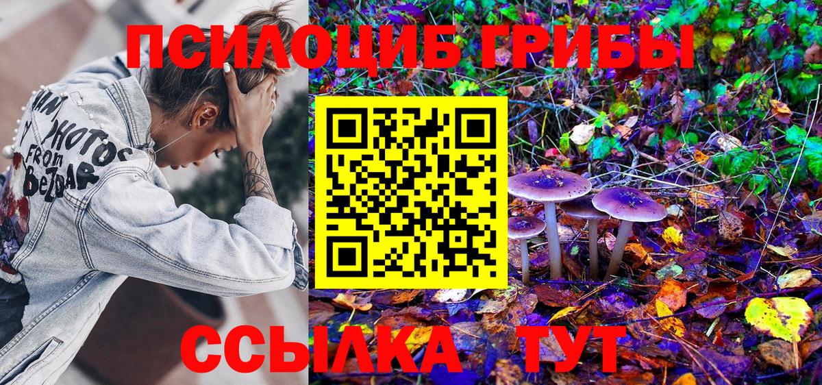 Галлюциногенные грибы Psilocybe Удомля